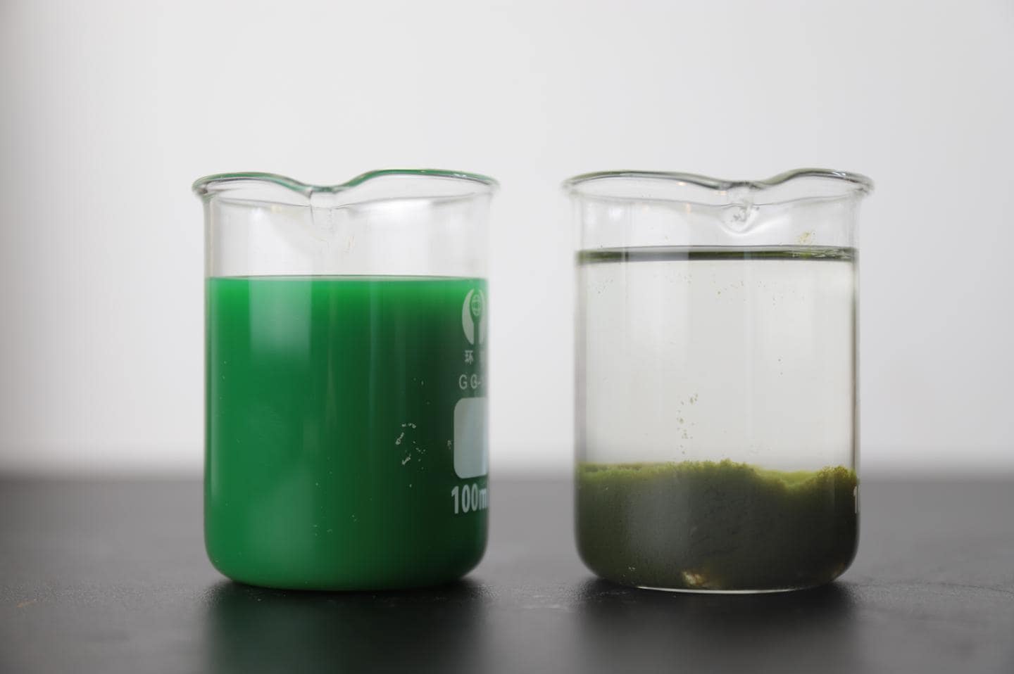 Decolorizing Agent